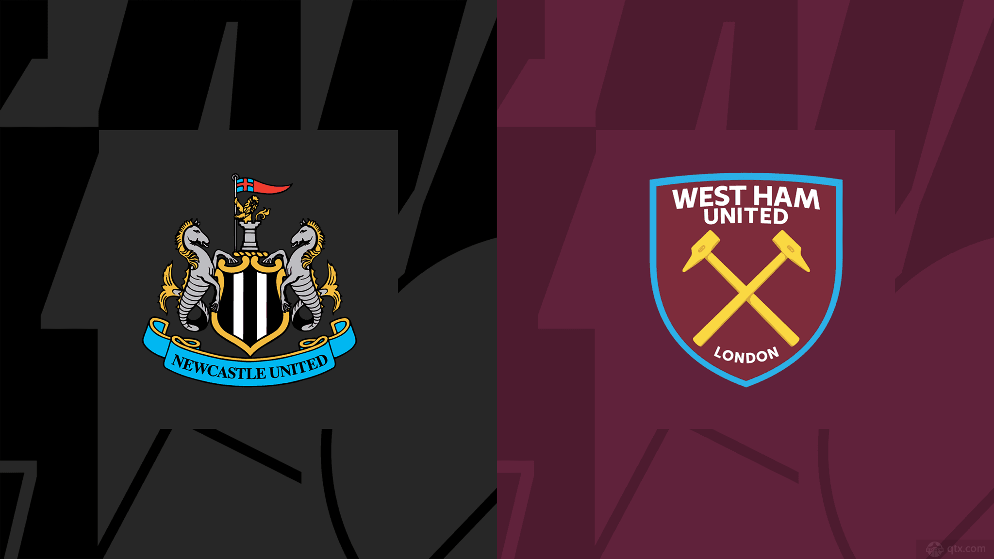 了他的全面 了他的全面